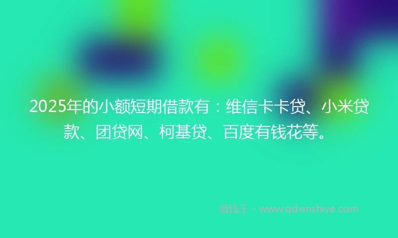 2025年的小额短期借款有：维信卡卡贷、小米贷款、团贷网、柯基贷、百度有钱花等。