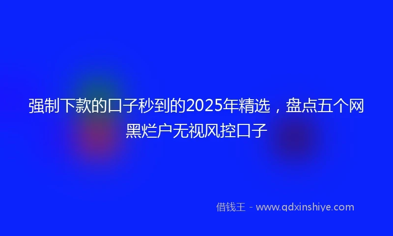 强制下款的口子秒到的2025年精选，盘点五个网黑烂户无视风控口子