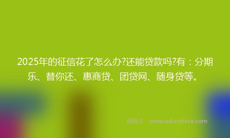 2025年的征信花了怎么办?还能贷款吗?有:分期乐、替你还、惠商贷、团贷网、随身贷等。