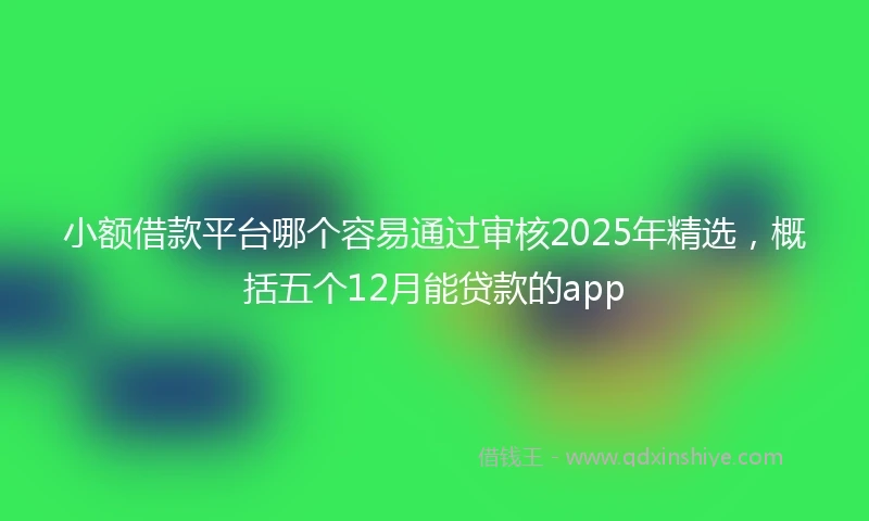 小额借款平台哪个容易通过审核2025年精选，概括五个12月能贷款的app