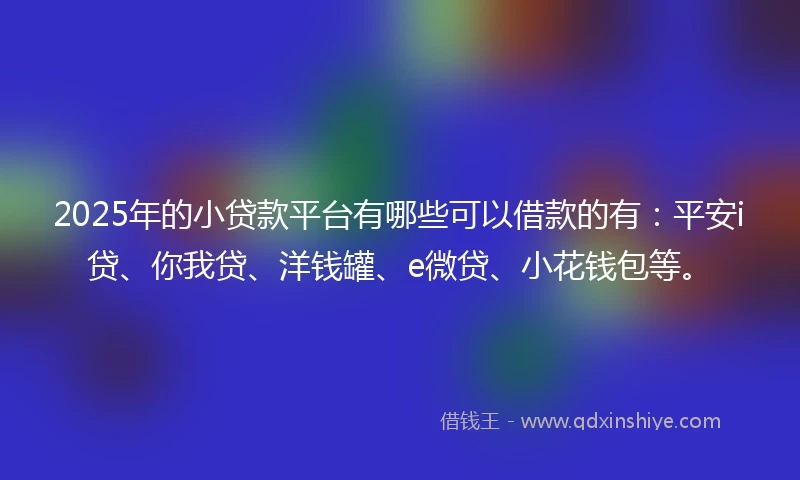 2025年的小贷款平台有哪些可以借款的有：平安i贷、你我贷、洋钱罐、e微贷、小花钱包等。