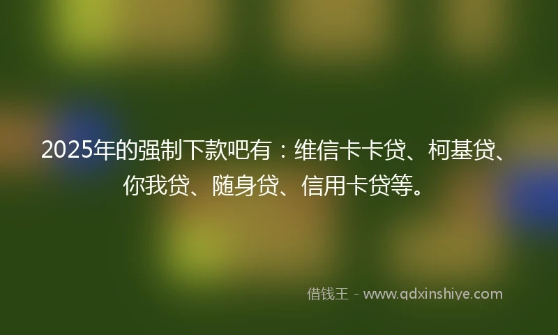 2025年的强制下款吧有：维信卡卡贷、柯基贷、你我贷、随身贷、信用卡贷等。