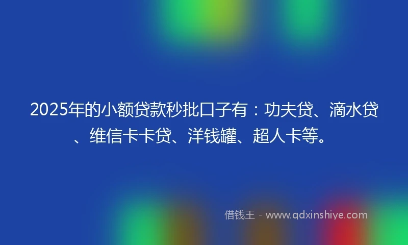 2025年的小额贷款秒批口子有：功夫贷、滴水贷、维信卡卡贷、洋钱罐、超人卡等。