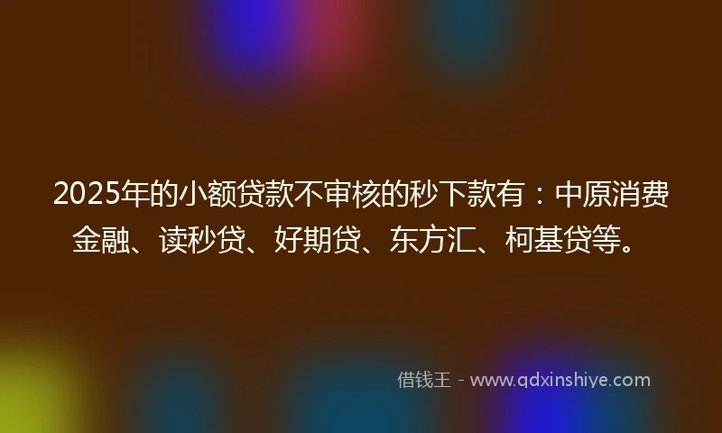 2025年的小额贷款不审核的秒下款有：中原消费金融、读秒贷、好期贷、东方汇、柯基贷等。
