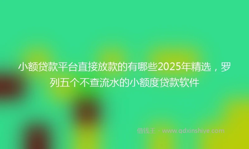 小额贷款平台直接放款的有哪些2025年精选，罗列五个不查流水的小额度贷款软件