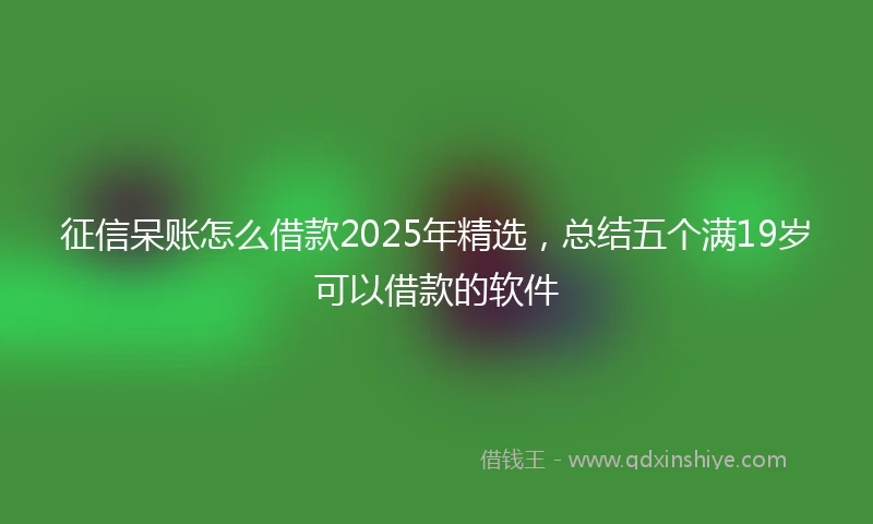 征信呆账怎么借款2025年精选，总结五个满19岁可以借款的软件
