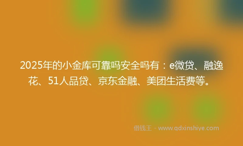 2025年的小金库可靠吗安全吗有：e微贷、融逸花、51人品贷、京东金融、美团生活费等。