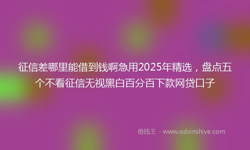 征信差哪里能借到钱啊急用2025年精选，盘点五个不看征信无视黑白百分百下款网贷口子