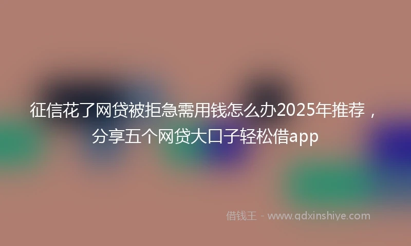 征信花了网贷被拒急需用钱怎么办2025年推荐,分享五个网贷大口子轻松借app