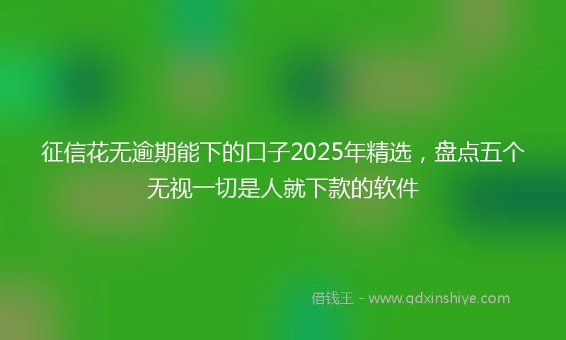 征信花无逾期能下的口子2025年精选，盘点五个无视一切是人就下款的软件