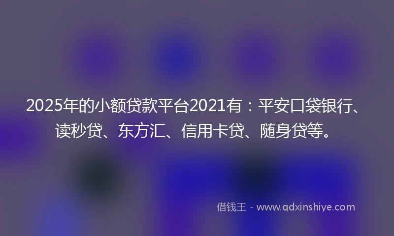 2025年的小额贷款平台2021有：平安口袋银行、读秒贷、东方汇、信用卡贷、随身贷等。