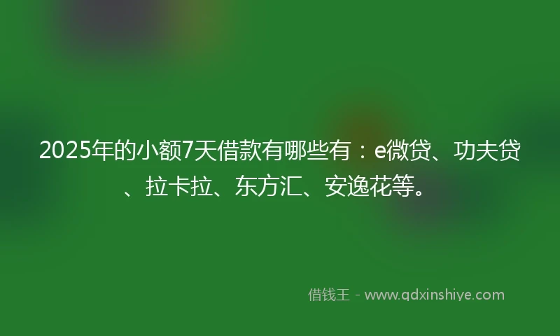 2025年的小额7天借款有哪些有：e微贷、功夫贷、拉卡拉、东方汇、安逸花等。
