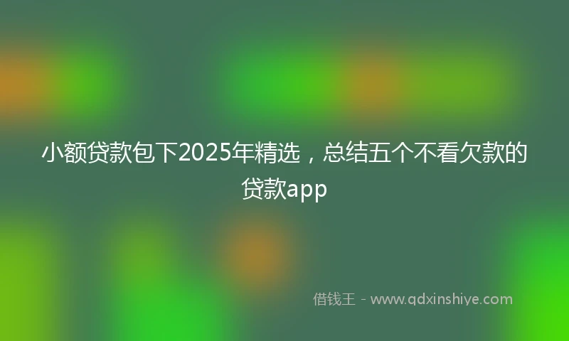 小额贷款包下2025年精选，总结五个不看欠款的贷款app