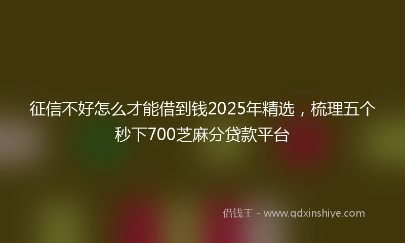 征信不好怎么才能借到钱2025年精选，梳理五个秒下700芝麻分贷款平台