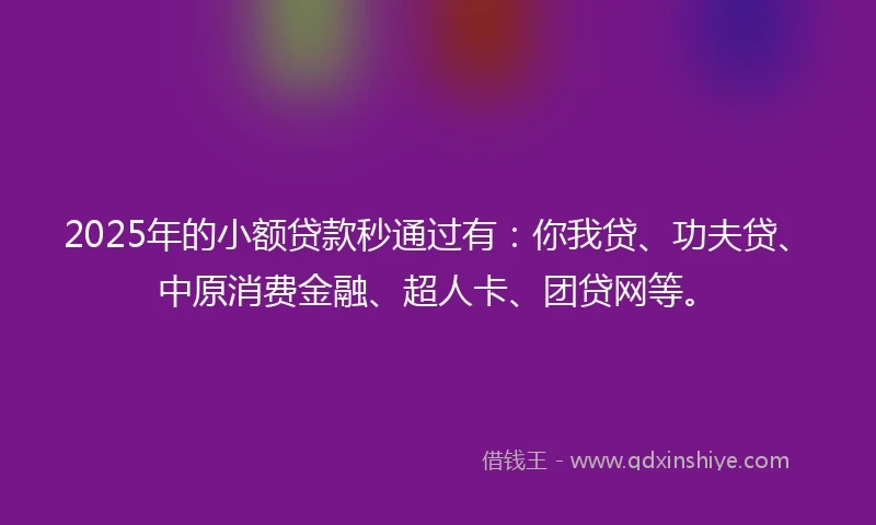 2025年的小额贷款秒通过有：你我贷、功夫贷、中原消费金融、超人卡、团贷网等。