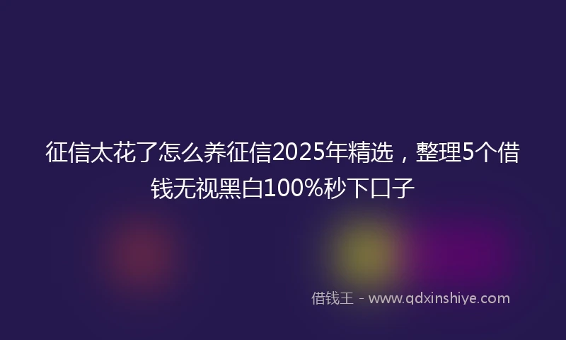 征信太花了怎么养征信2025年精选，整理5个借钱无视黑白100%秒下口子