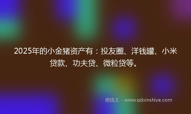 2025年的小金猪资产有：投友圈、洋钱罐、小米贷款、功夫贷、微粒贷等。