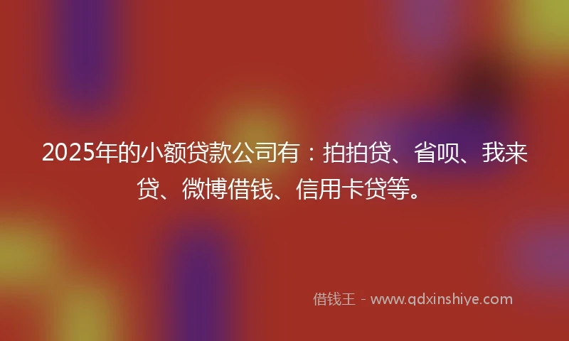 2025年的小额贷款公司有：拍拍贷、省呗、我来贷、微博借钱、信用卡贷等。