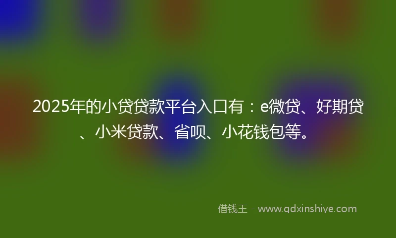 2025年的小贷贷款平台入口有：e微贷、好期贷、小米贷款、省呗、小花钱包等。