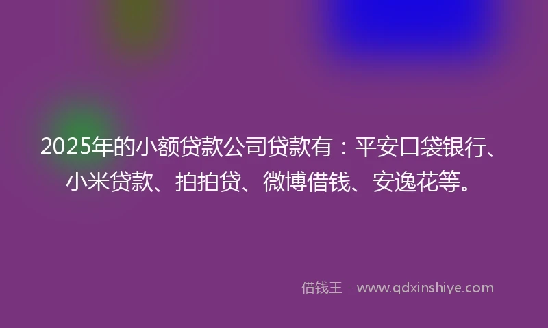 2025年的小额贷款公司贷款有：平安口袋银行、小米贷款、拍拍贷、微博借钱、安逸花等。