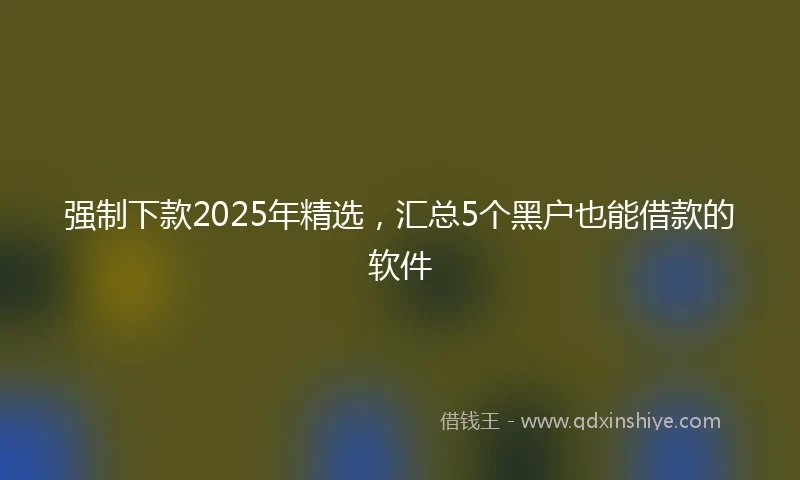 强制下款2025年精选，汇总5个黑户也能借款的软件