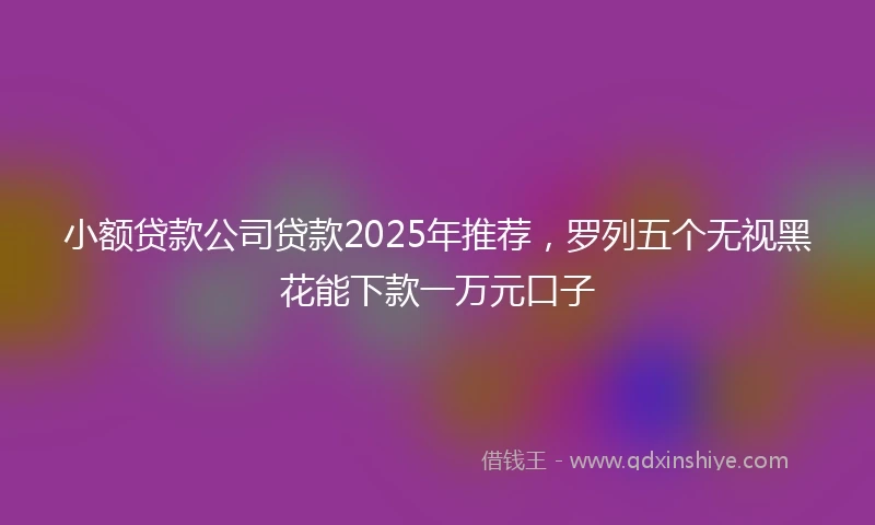 小额贷款公司贷款2025年推荐，罗列五个无视黑花能下款一万元口子