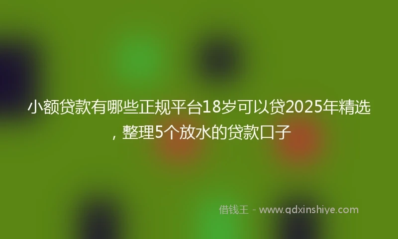 小额贷款有哪些正规平台18岁可以贷2025年精选，整理5个放水的贷款口子