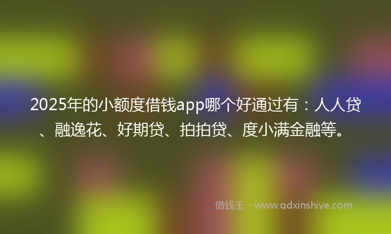 2025年的小额度借钱app哪个好通过有：人人贷、融逸花、好期贷、拍拍贷、度小满金融等。