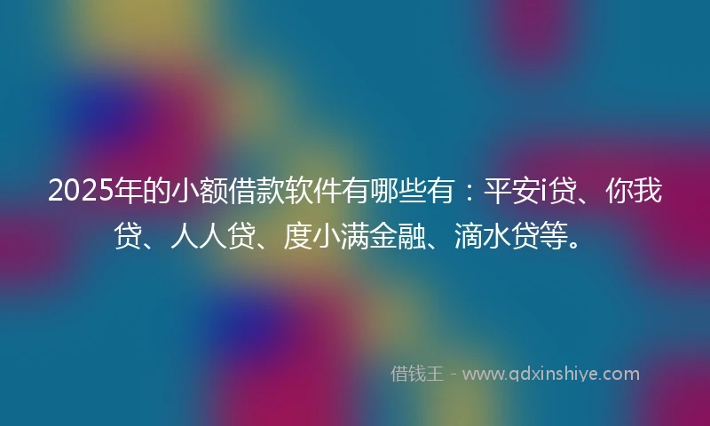 2025年的小额借款软件有哪些有：平安i贷、你我贷、人人贷、度小满金融、滴水贷等。