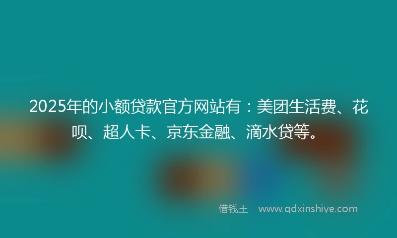 2025年的小额贷款官方网站有：美团生活费、花呗、超人卡、京东金融、滴水贷等。