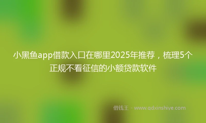 小黑鱼app借款入口在哪里2025年推荐，梳理5个正规不看征信的小额贷款软件