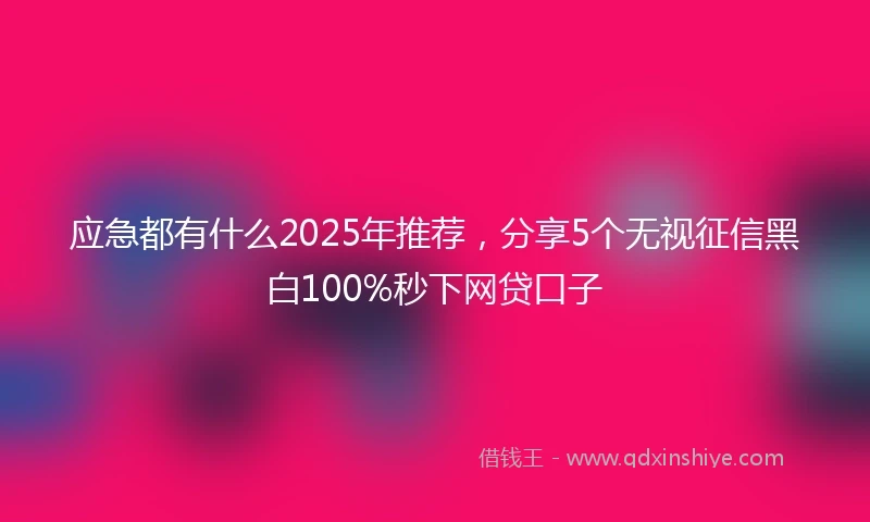 应急都有什么2025年推荐，分享5个无视征信黑白100%秒下网贷口子
