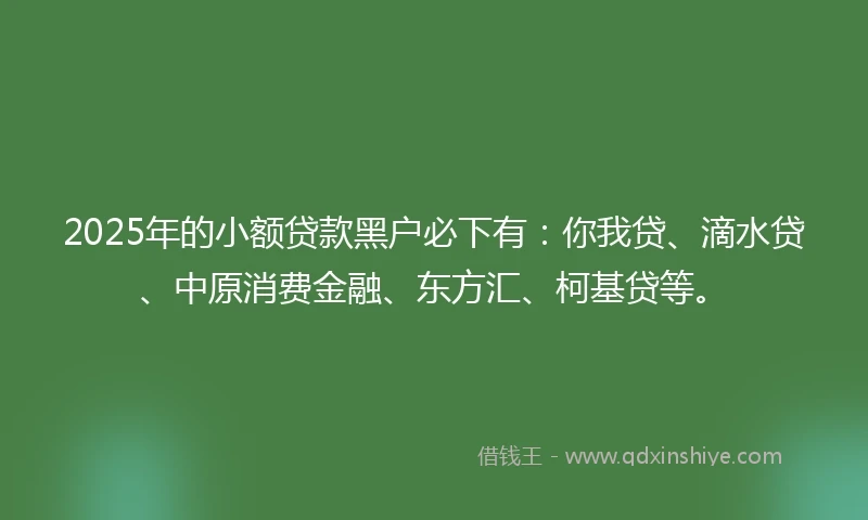 2025年的小额贷款黑户必下有：你我贷、滴水贷、中原消费金融、东方汇、柯基贷等。
