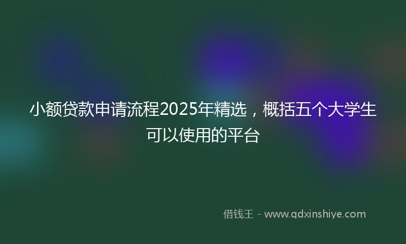 小额贷款申请流程2025年精选，概括五个大学生可以使用的平台