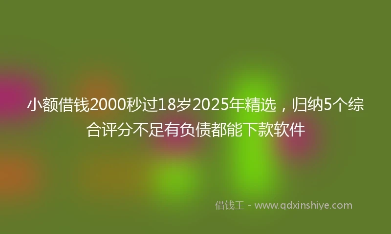小额借钱2000秒过18岁2025年精选，归纳5个综合评分不足有负债都能下款软件