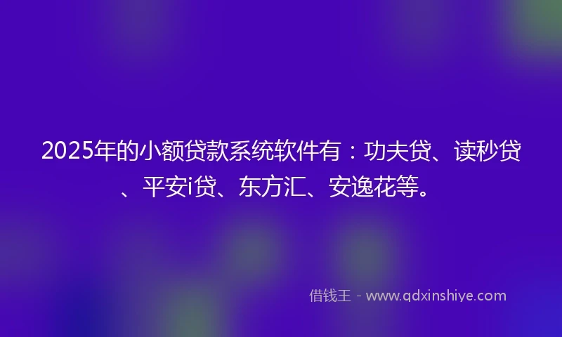 2025年的小额贷款系统软件有：功夫贷、读秒贷、平安i贷、东方汇、安逸花等。