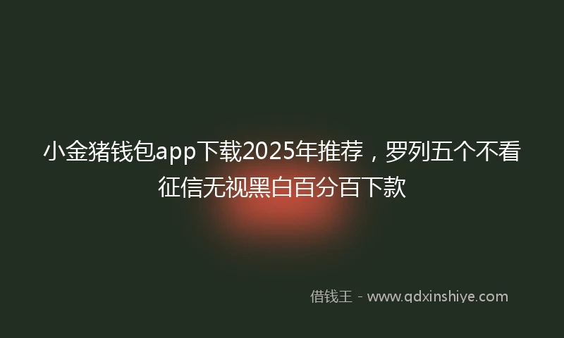 小金猪钱包app下载2025年推荐，罗列五个不看征信无视黑白百分百下款