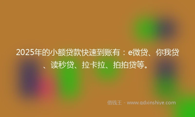2025年的小额贷款快速到账有：e微贷、你我贷、读秒贷、拉卡拉、拍拍贷等。