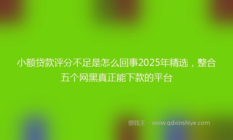 小额贷款评分不足是怎么回事2025年精选，整合五个网黑真正能下款的平台