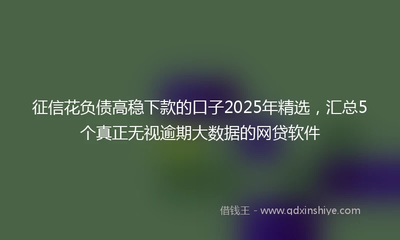 征信花负债高稳下款的口子2025年精选，汇总5个真正无视逾期大数据的网贷软件