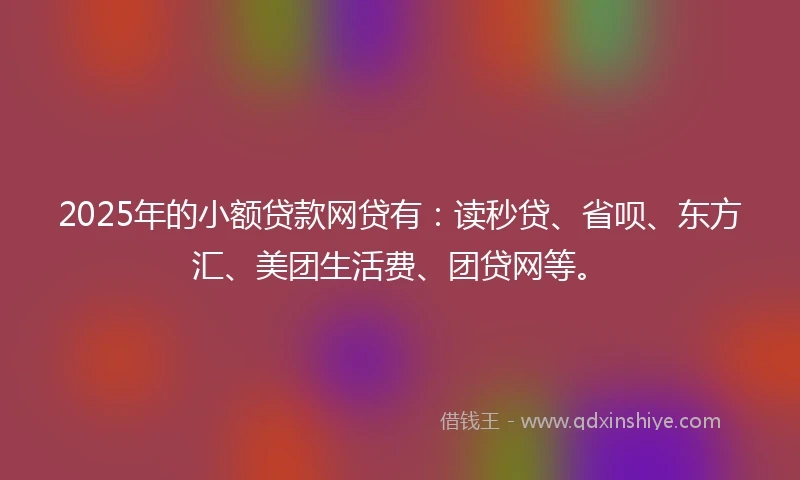 2025年的小额贷款网贷有：读秒贷、省呗、东方汇、美团生活费、团贷网等。