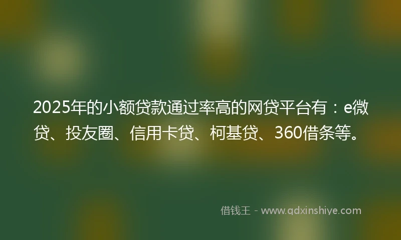 2025年的小额贷款通过率高的网贷平台有：e微贷、投友圈、信用卡贷、柯基贷、360借条等。