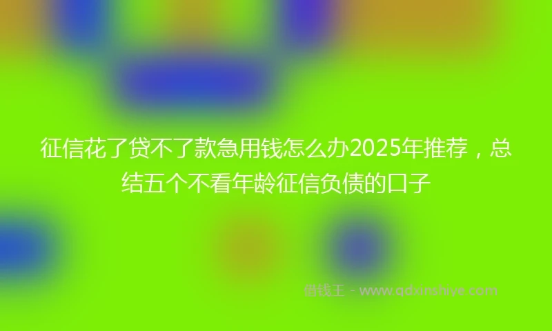 征信花了贷不了款急用钱怎么办2025年推荐,总结五个不看年龄征信负债的口子