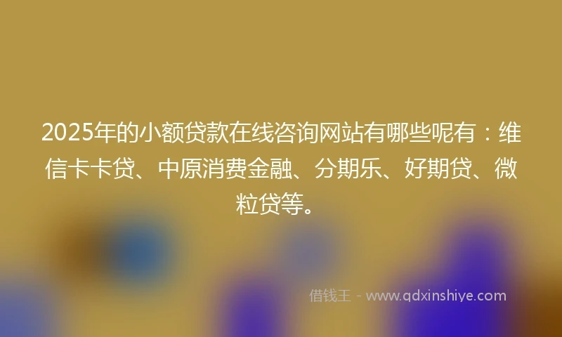 2025年的小额贷款在线咨询网站有哪些呢有：维信卡卡贷、中原消费金融、分期乐、好期贷、微粒贷等。