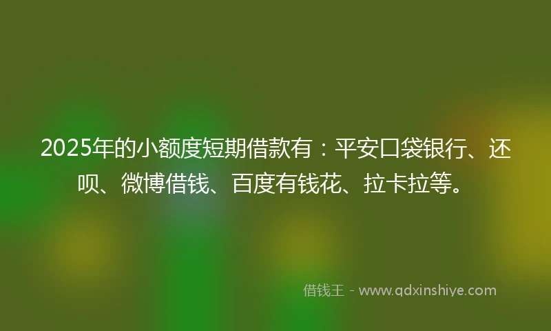 2025年的小额度短期借款有：平安口袋银行、还呗、微博借钱、百度有钱花、拉卡拉等。