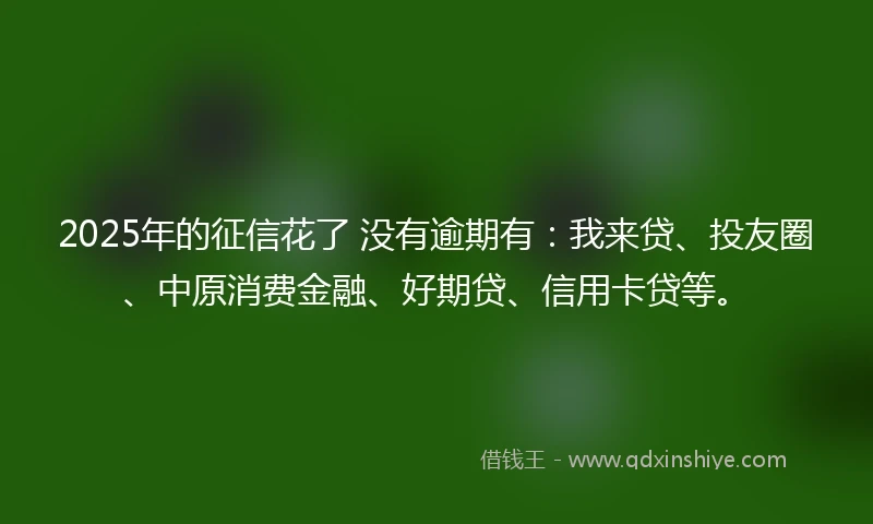 2025年的征信花了 没有逾期有：我来贷、投友圈、中原消费金融、好期贷、信用卡贷等。
