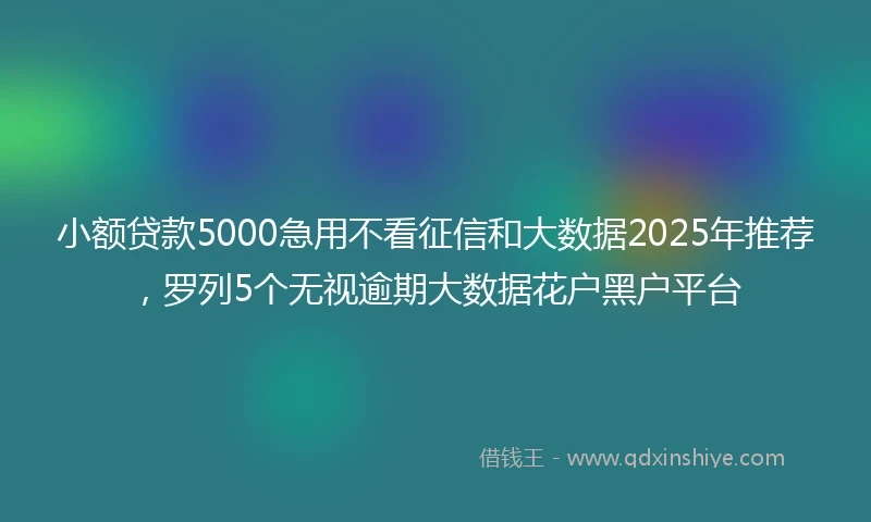 小额贷款5000急用不看征信和大数据2025年推荐，罗列5个无视逾期大数据花户黑户平台