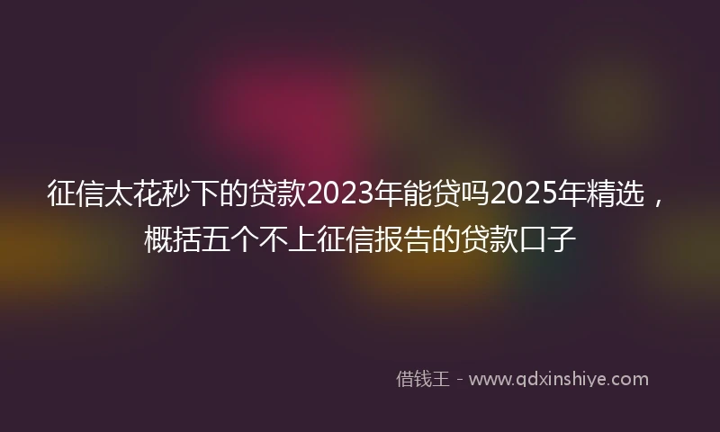 征信太花秒下的贷款2023年能贷吗2025年精选，概括五个不上征信报告的贷款口子