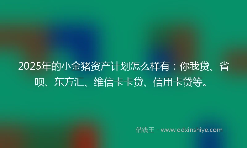 2025年的小金猪资产计划怎么样有：你我贷、省呗、东方汇、维信卡卡贷、信用卡贷等。