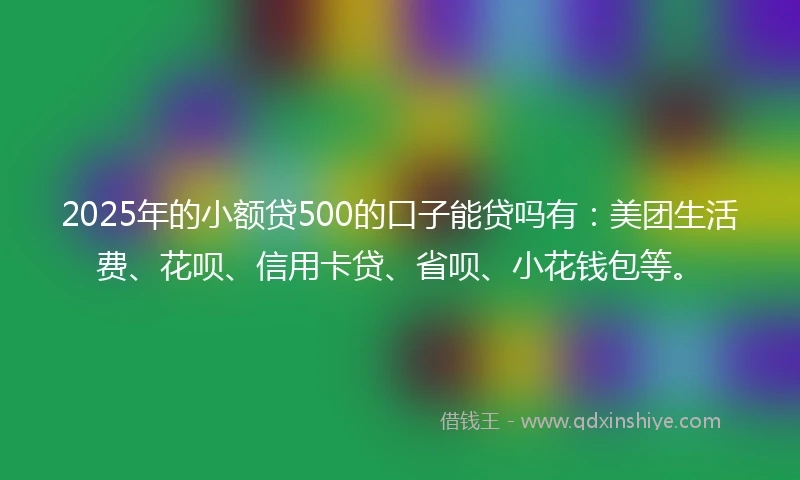 2025年的小额贷500的口子能贷吗有：美团生活费、花呗、信用卡贷、省呗、小花钱包等。